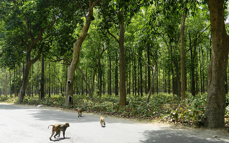 attraction in gorakhpur